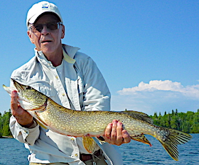 Terrific Fishing at Fireside Lodge for Big Northern Pike by Mike